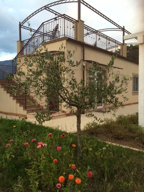 Agriturismo Poggio Alle Serre Gallinaro Exterior foto